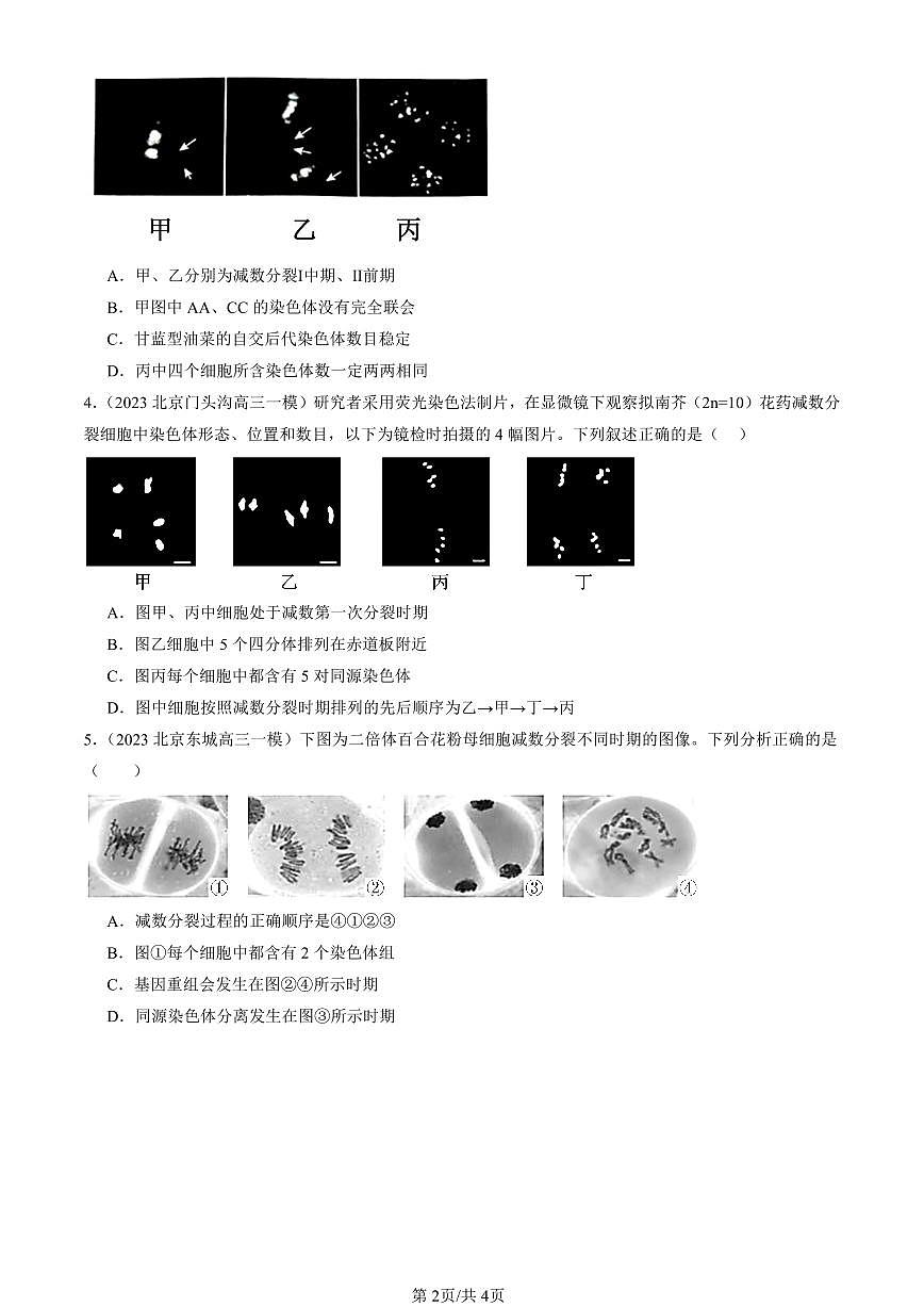 2023-2025北京高三一模[高考模拟]生物汇编：减数分裂和受精作用第2页