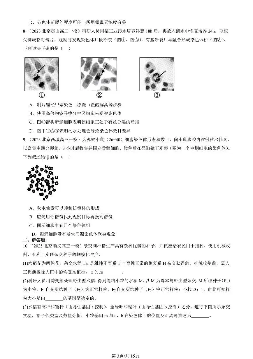 2023-2025北京高三一模[高考模拟]生物汇编：染色体变异第3页