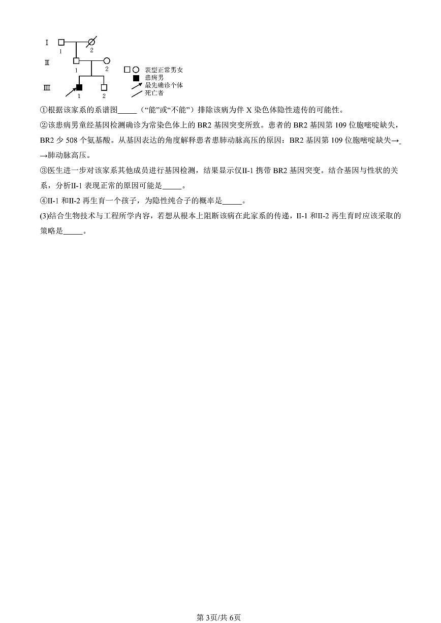 2023-2025北京高三一模[高考模拟]生物汇编：人类遗传病第3页