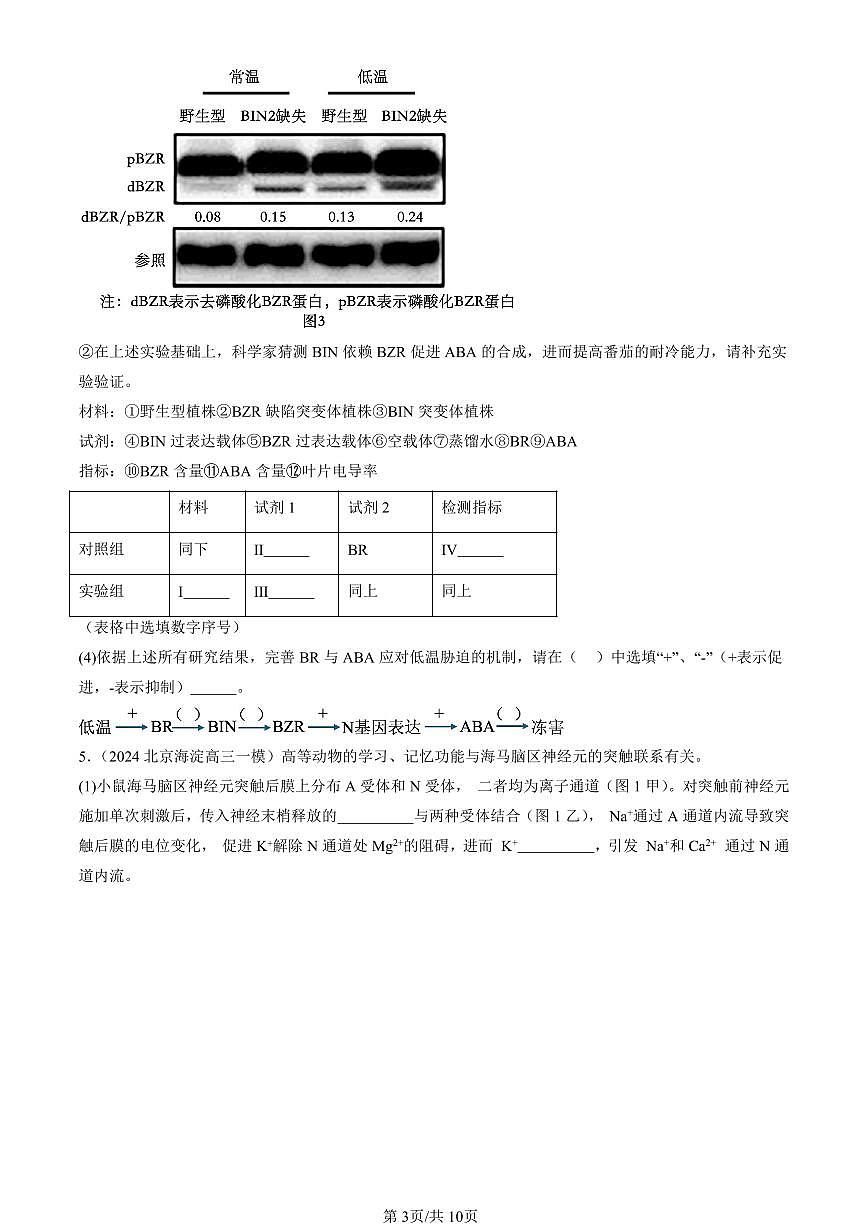 2023-2025北京高三一模[高考模拟]生物汇编：人体的内环境与稳态章节综合第3页