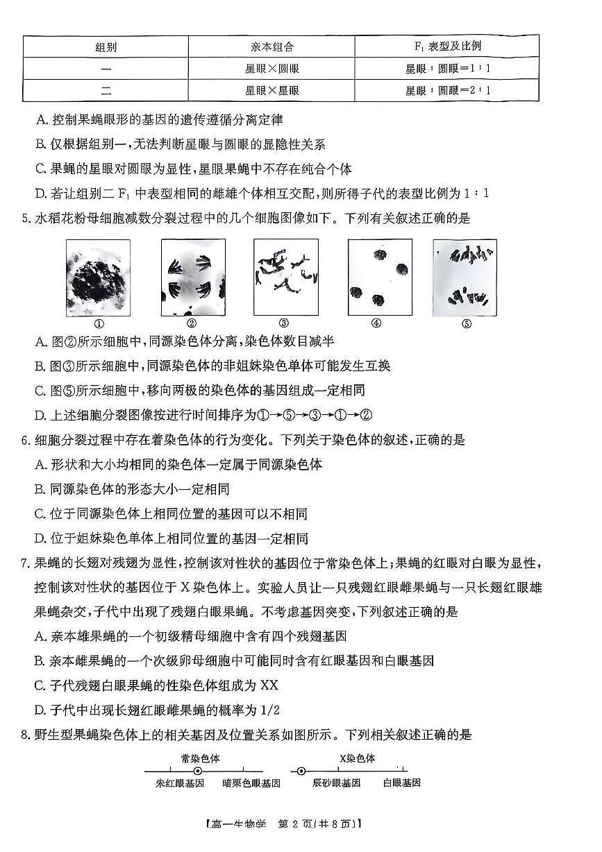 广东省佛山市七校2024-2025学年高一下学期5月联考生物试卷（PDF版附答案）第2页