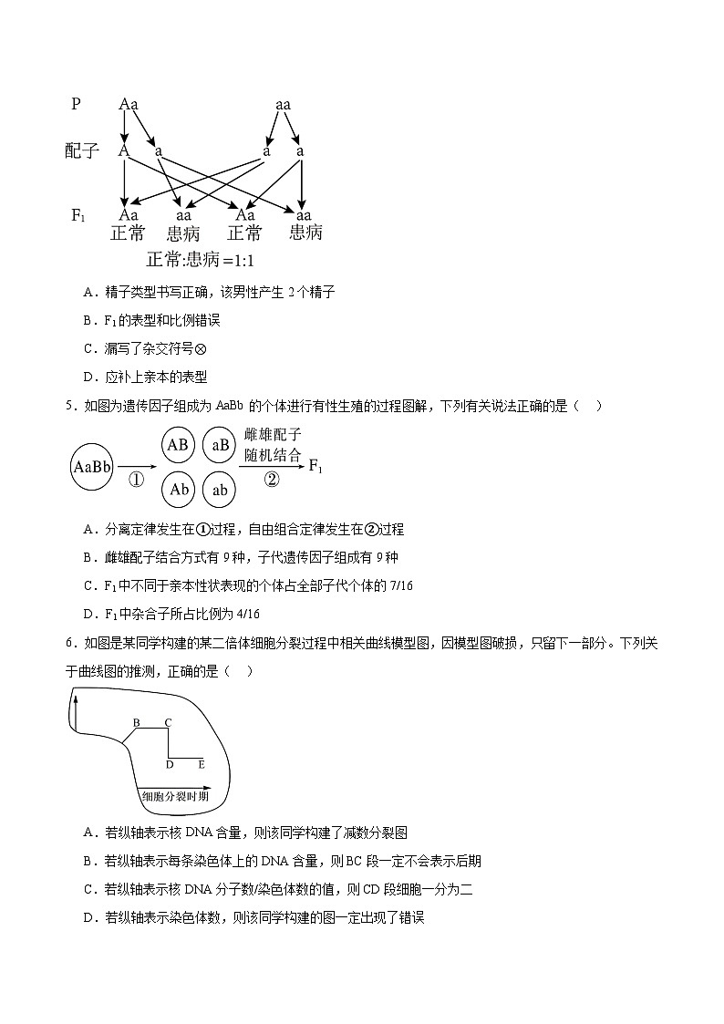 内蒙古呼和浩特市第二中学2024-2025学年高一下学期4月月考生物试卷（Word版附答案）第2页