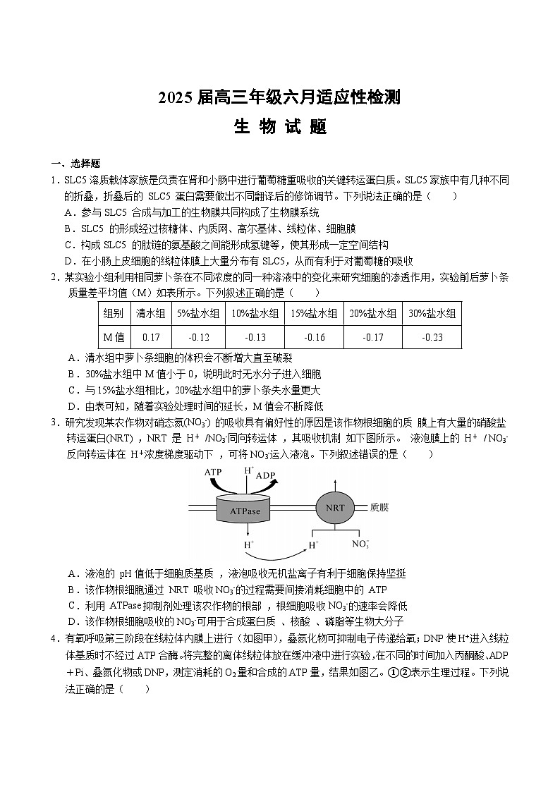 湖北省沙市中学2025届高三下学期6月适应性检测生物试卷（Word版附答案）第1页