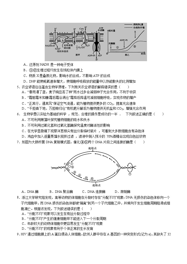 湖北省沙市中学2025届高三下学期6月适应性检测生物试卷（Word版附答案）第2页