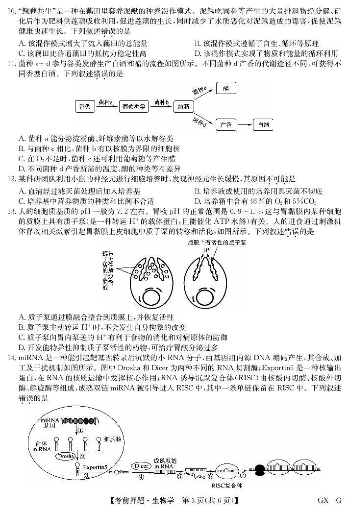 生物第3页