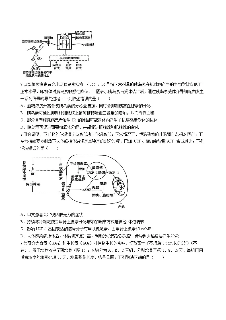 山东师范大学附属中学2025届高三下学期5月高考模拟考试生物试卷（Word版附答案）第3页