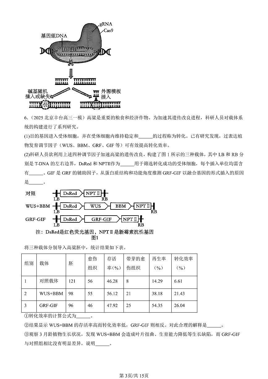 2025北京高三一模[高考模拟]生物汇编：基因工程的基本操作程序第3页