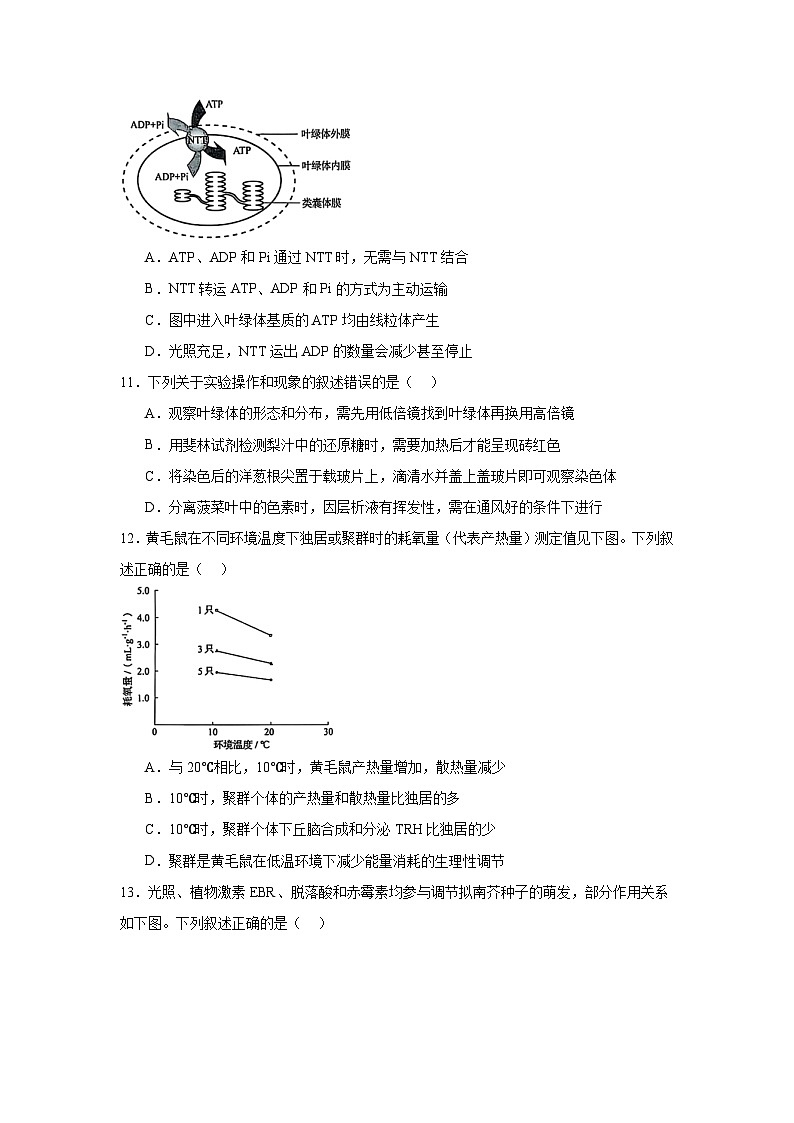 2025年黑龙江、吉林、辽宁、内蒙古高考生物真题试卷（无答案）第3页