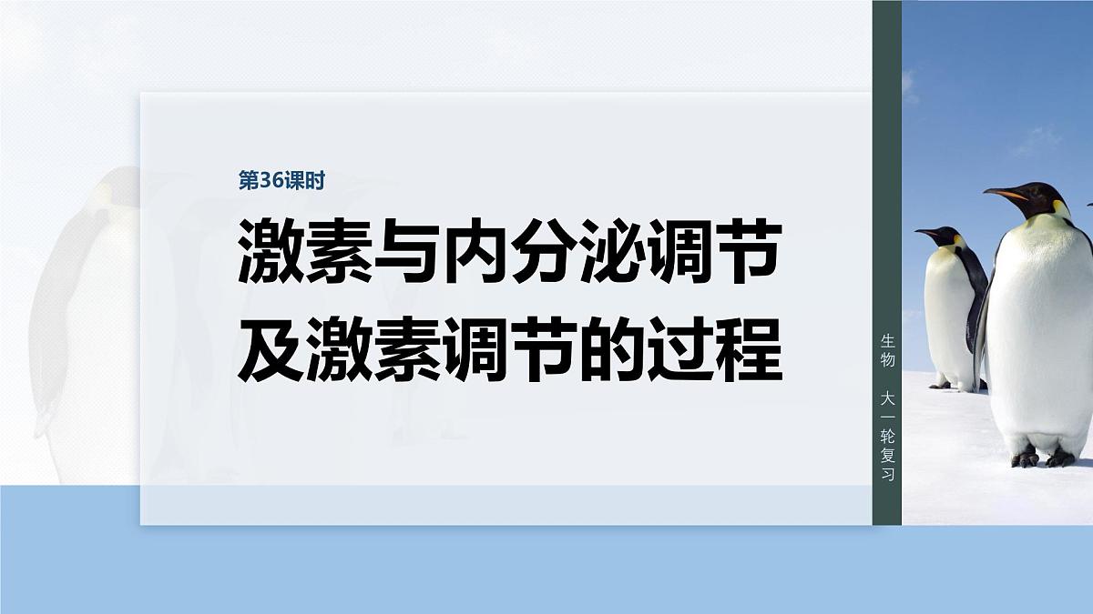 第八单元　第36课时　激素与内分泌调节及激素调节的过程第1页