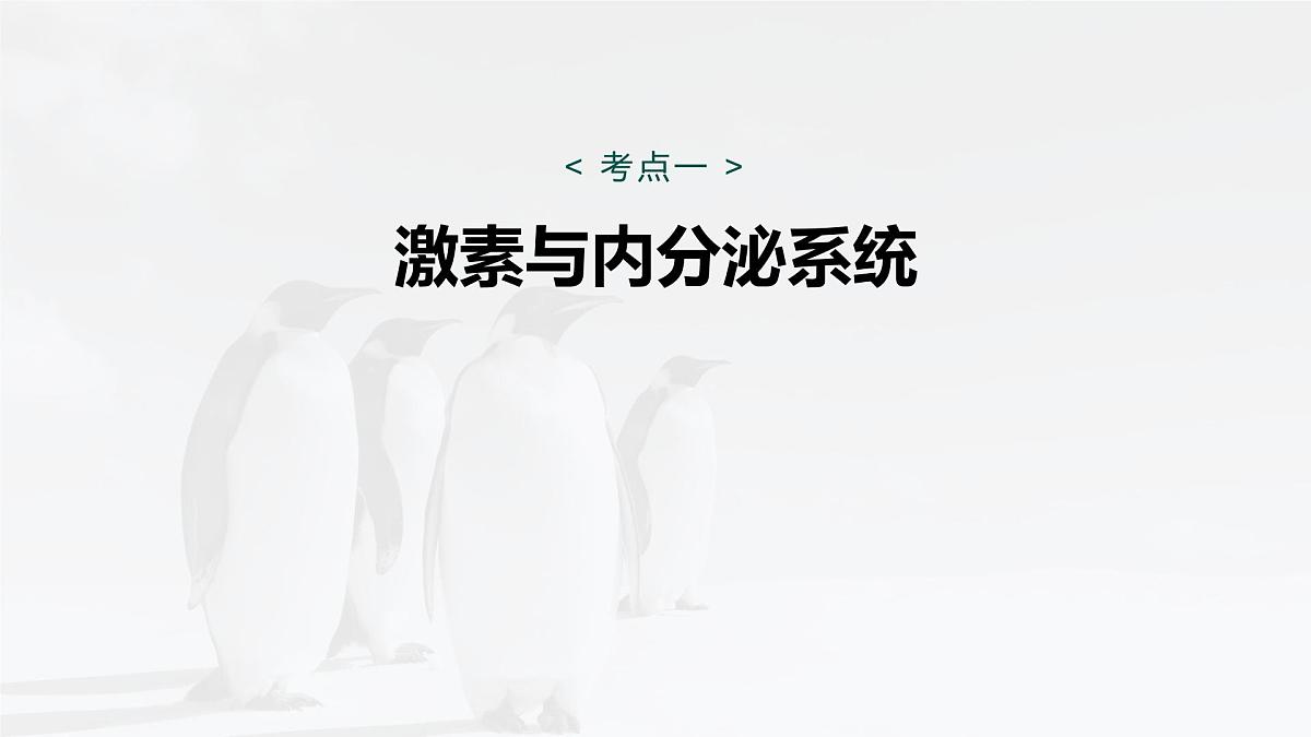 第八单元　第36课时　激素与内分泌调节及激素调节的过程第5页