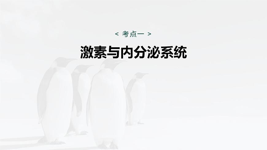 第八单元　第36课时　激素与内分泌调节及激素调节的过程第5页