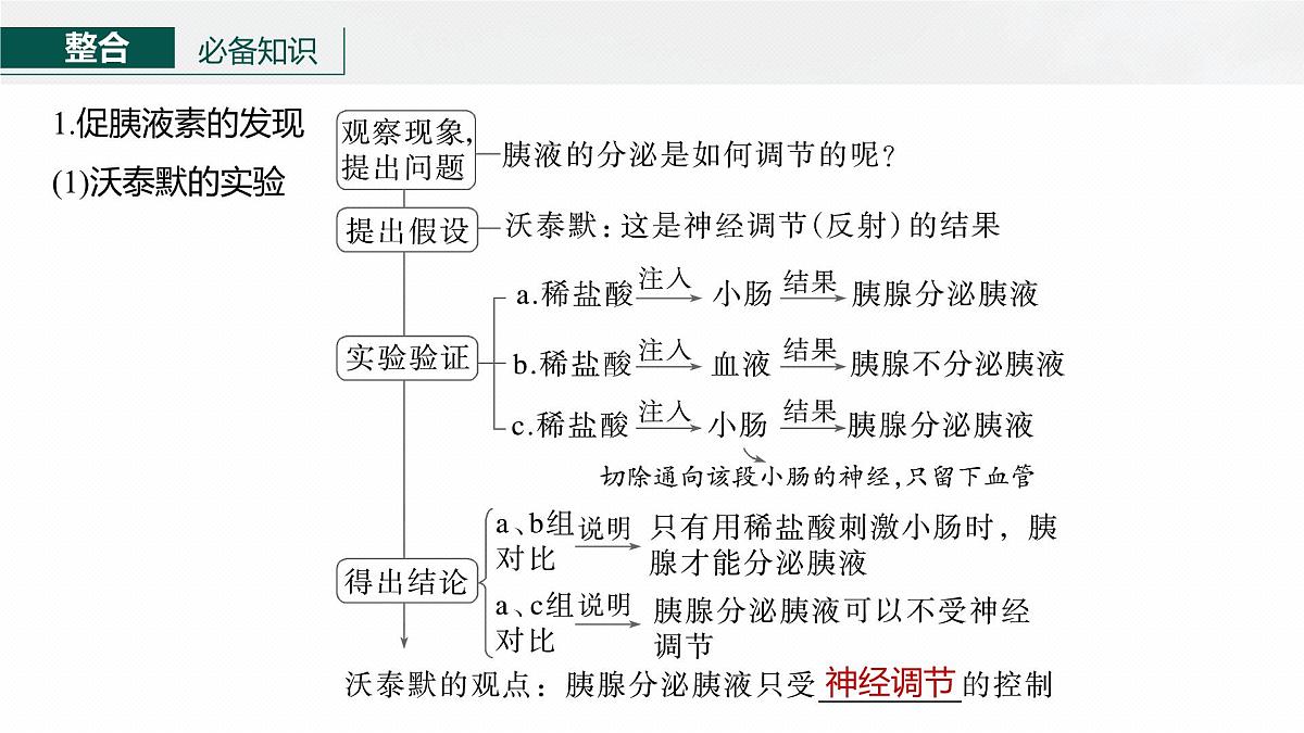 第八单元　第36课时　激素与内分泌调节及激素调节的过程第6页