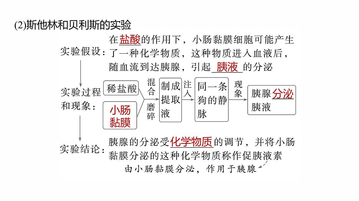 第八单元　第36课时　激素与内分泌调节及激素调节的过程第7页