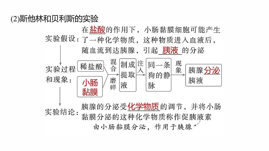 第八单元　第36课时　激素与内分泌调节及激素调节的过程第7页