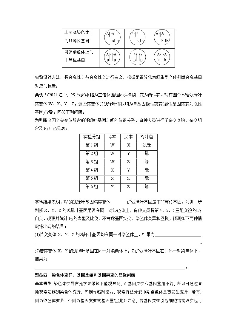 第七单元　专题突破9　聚焦变异热点题型第3页