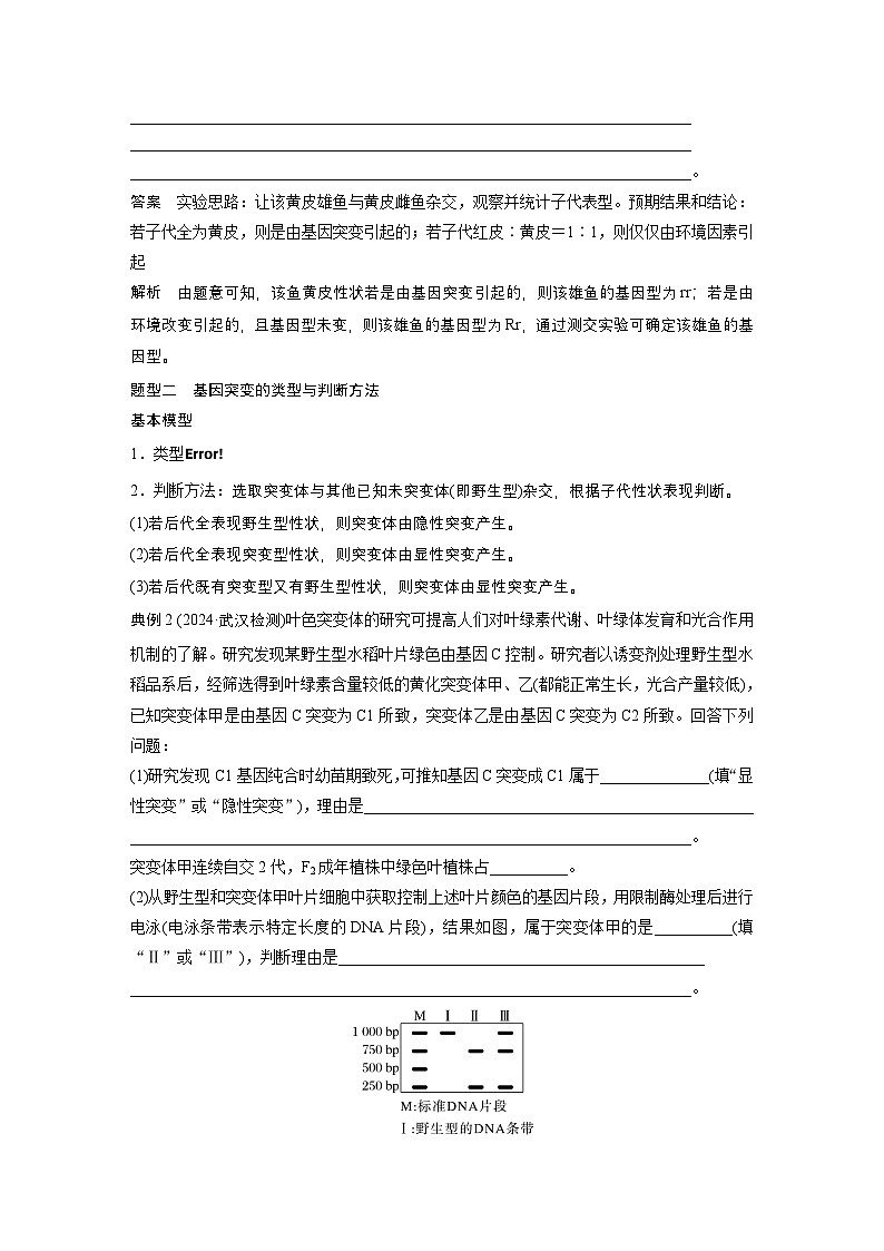 第七单元　专题突破9　聚焦变异热点题型（教师版）第2页