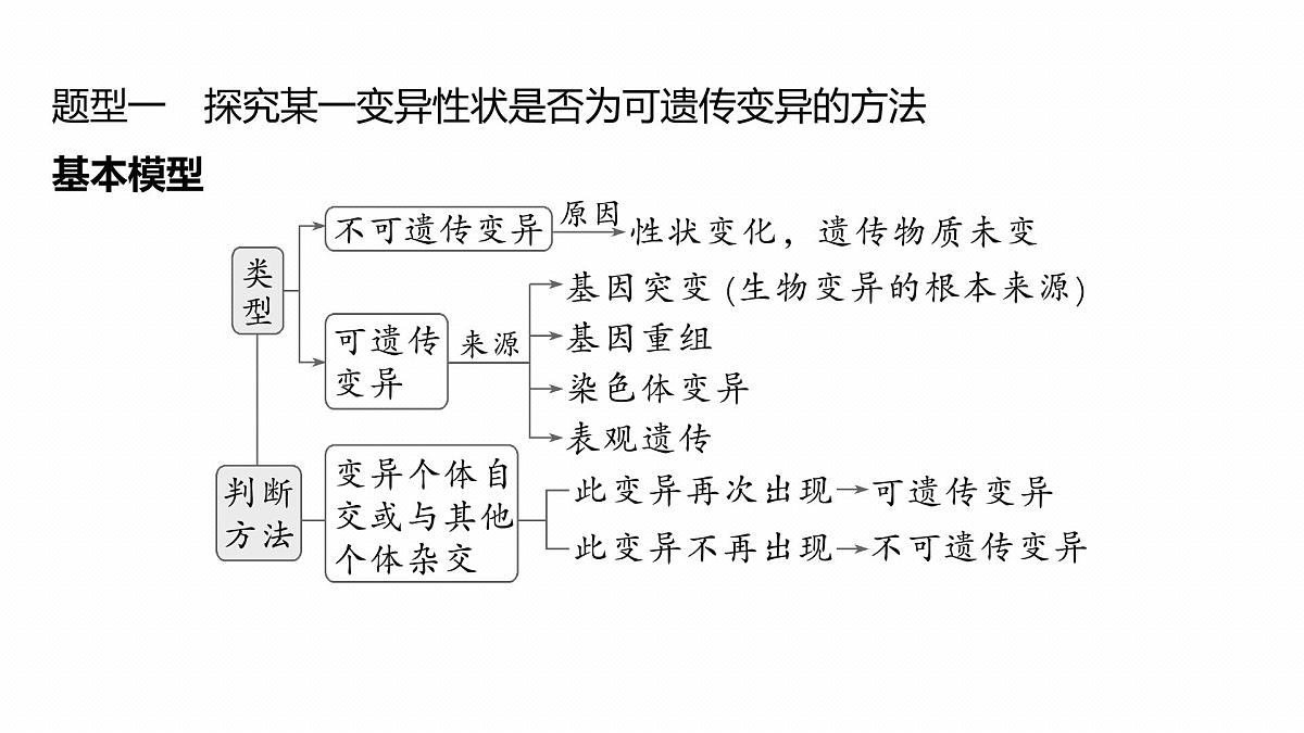 第七单元　专题突破9　聚焦变异热点题型第4页