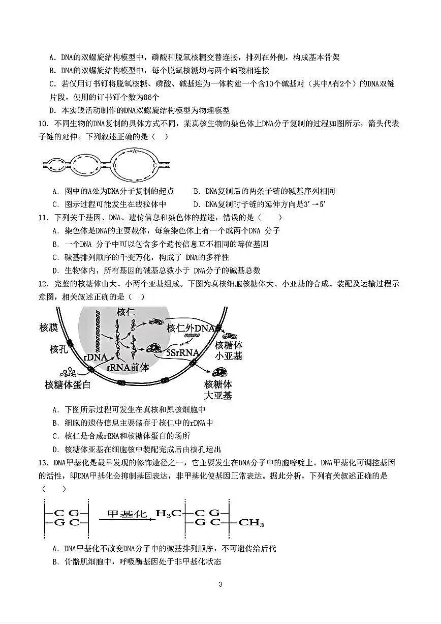 2025年人教A版高一生物下学期期末模拟考试试卷02及其答案第3页