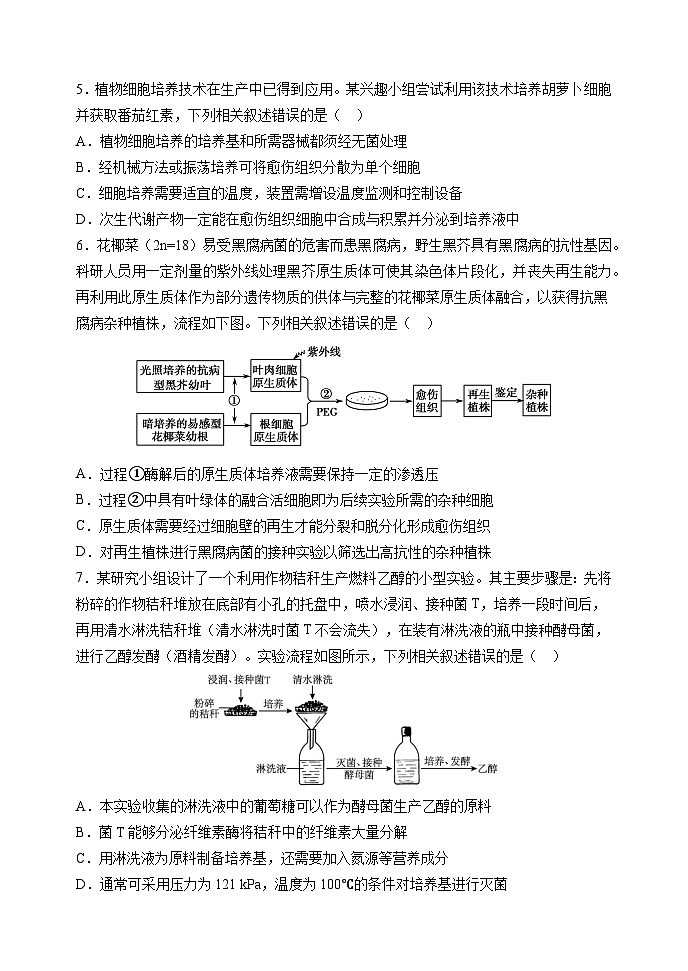 黑龙江省龙东十校联盟2024-2025学年高二下学期期中考试生物试题（Word版附答案）第2页