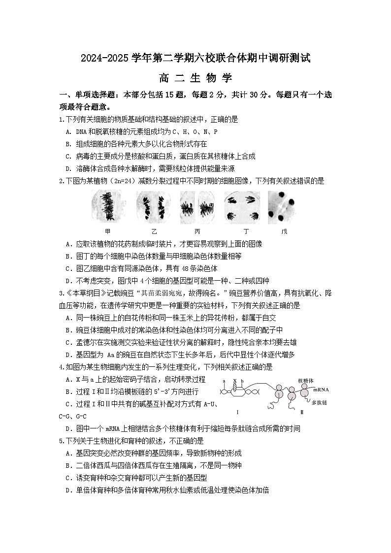 江苏省南京市六校联合体2024-2025学年高二下学期5月期中考试生物试题（Word版附答案）第1页