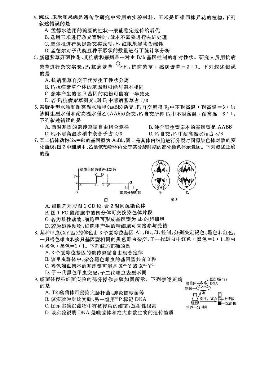 山西省部分学校2024-2025学年高一下学期5月质量检测生物试题（PDF版附解析）第2页