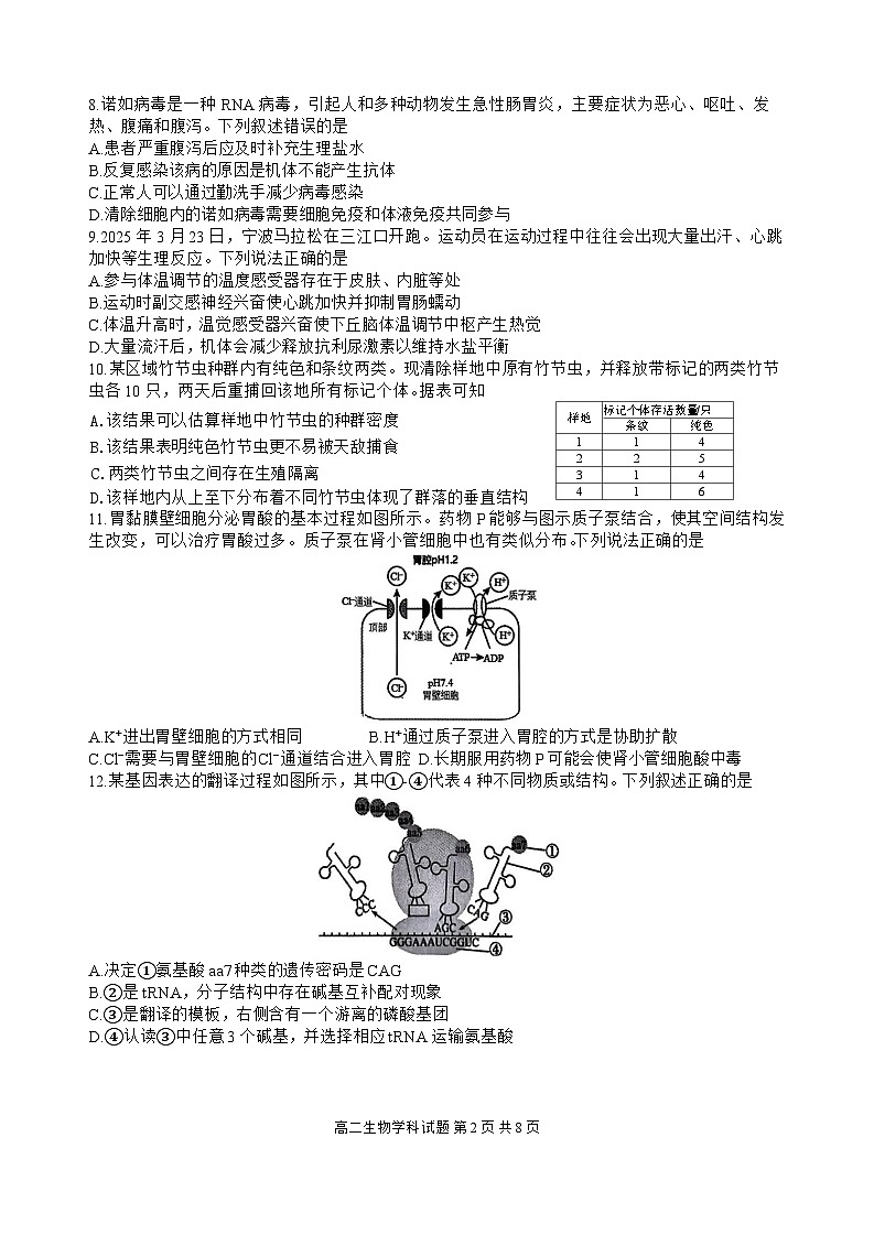 浙江省北斗星盟2024-2025学年高二下学期阶段性联考生物试题（Word版附答案）第2页