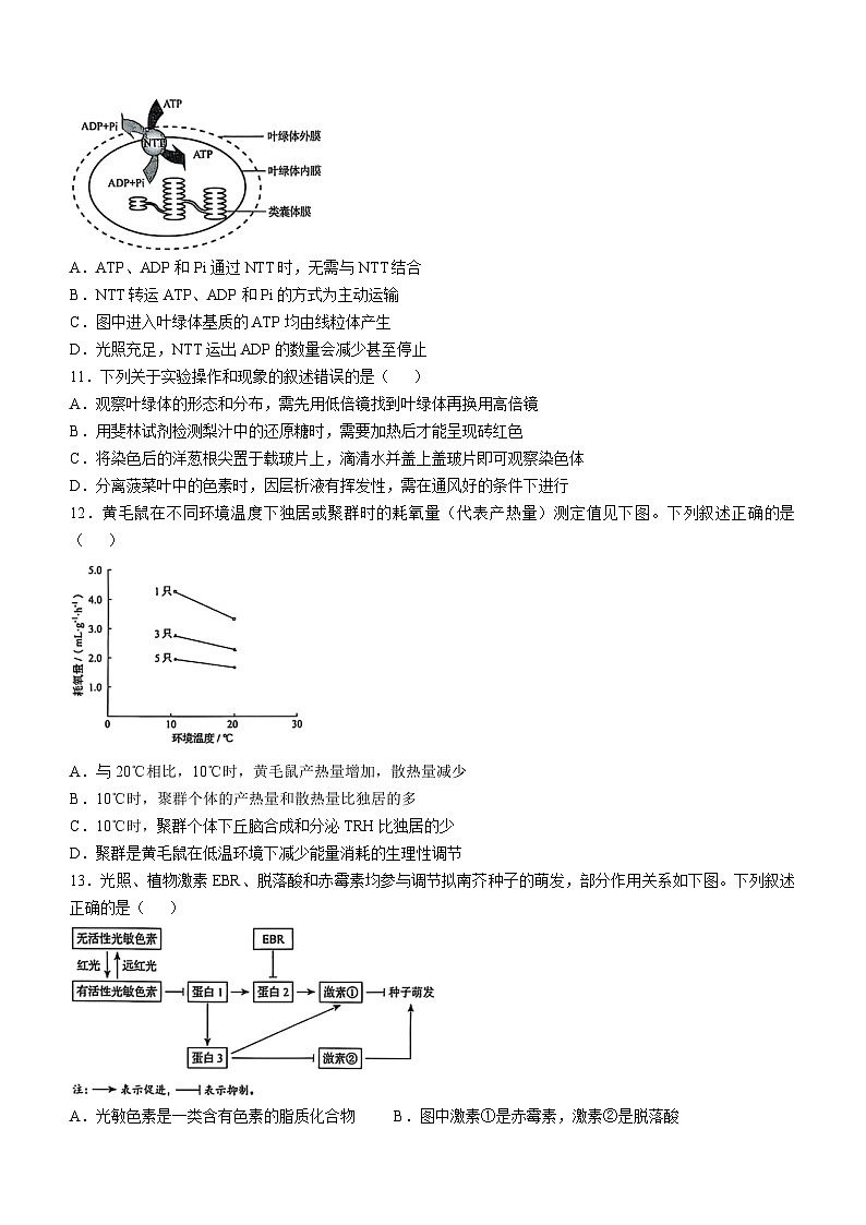 2025年高考真题——生物（黑吉辽卷）  无答案（黑龙江、吉林、辽宁、内蒙古）第3页