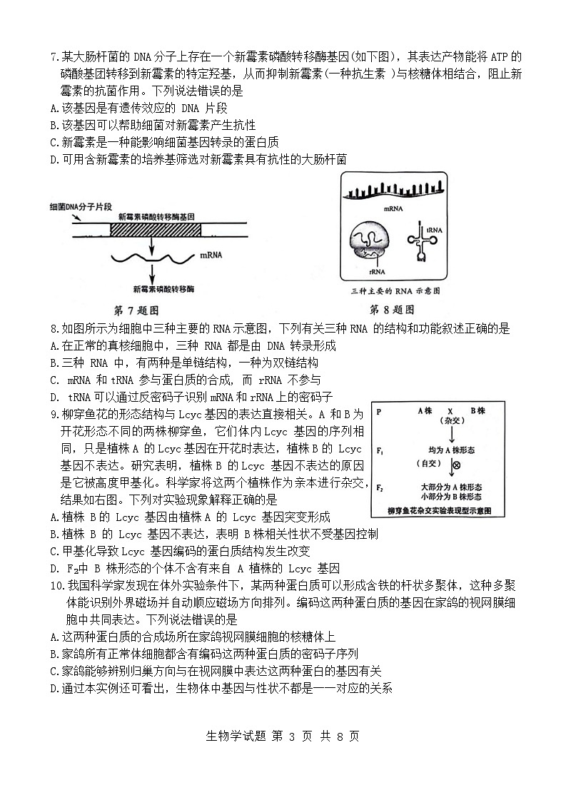 辽宁省部分高中联合考试2023-2024学年高一下学期7月期末生物试题第3页