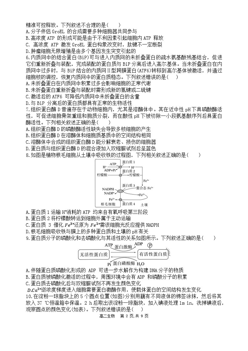 辽宁省沈阳市省五校协作体2023-2024学年高二下学期7月期末联考生物试题第3页
