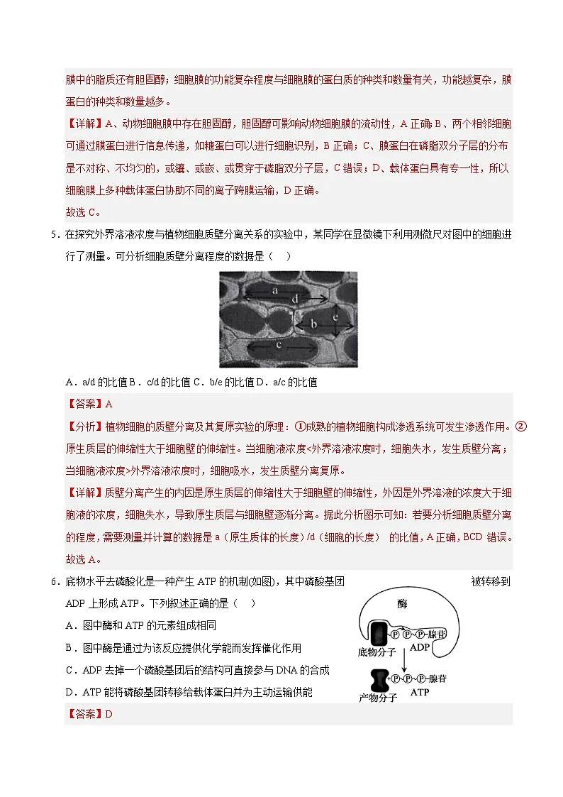 2025年6月福建省普通高中学业水平合格性考试生物仿真模拟卷02（全解全析）第3页