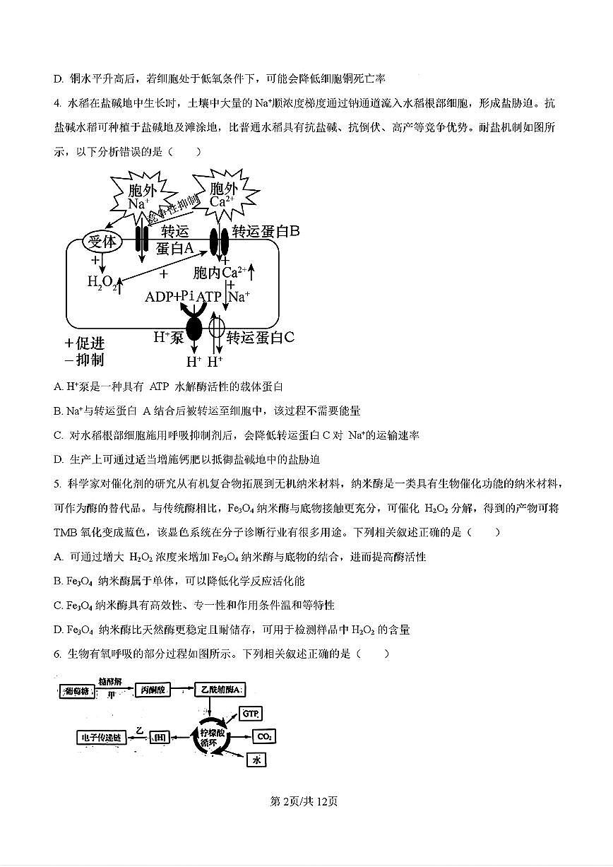 2024年济南市高二生物下学期期末考试试卷及其答案第2页