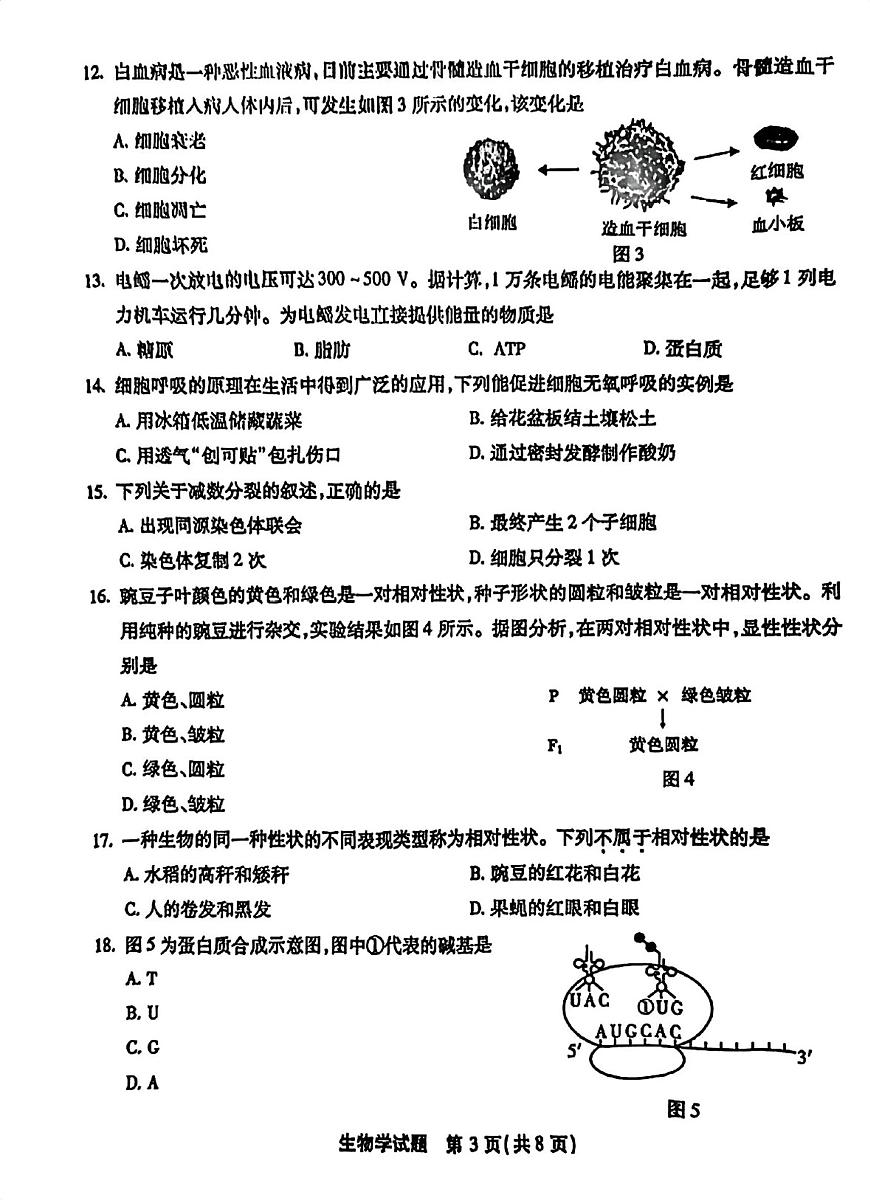 2025年1月福建省普通高中学业水平合格性考试高中会考生物学试卷（PDF版，含答案）第3页