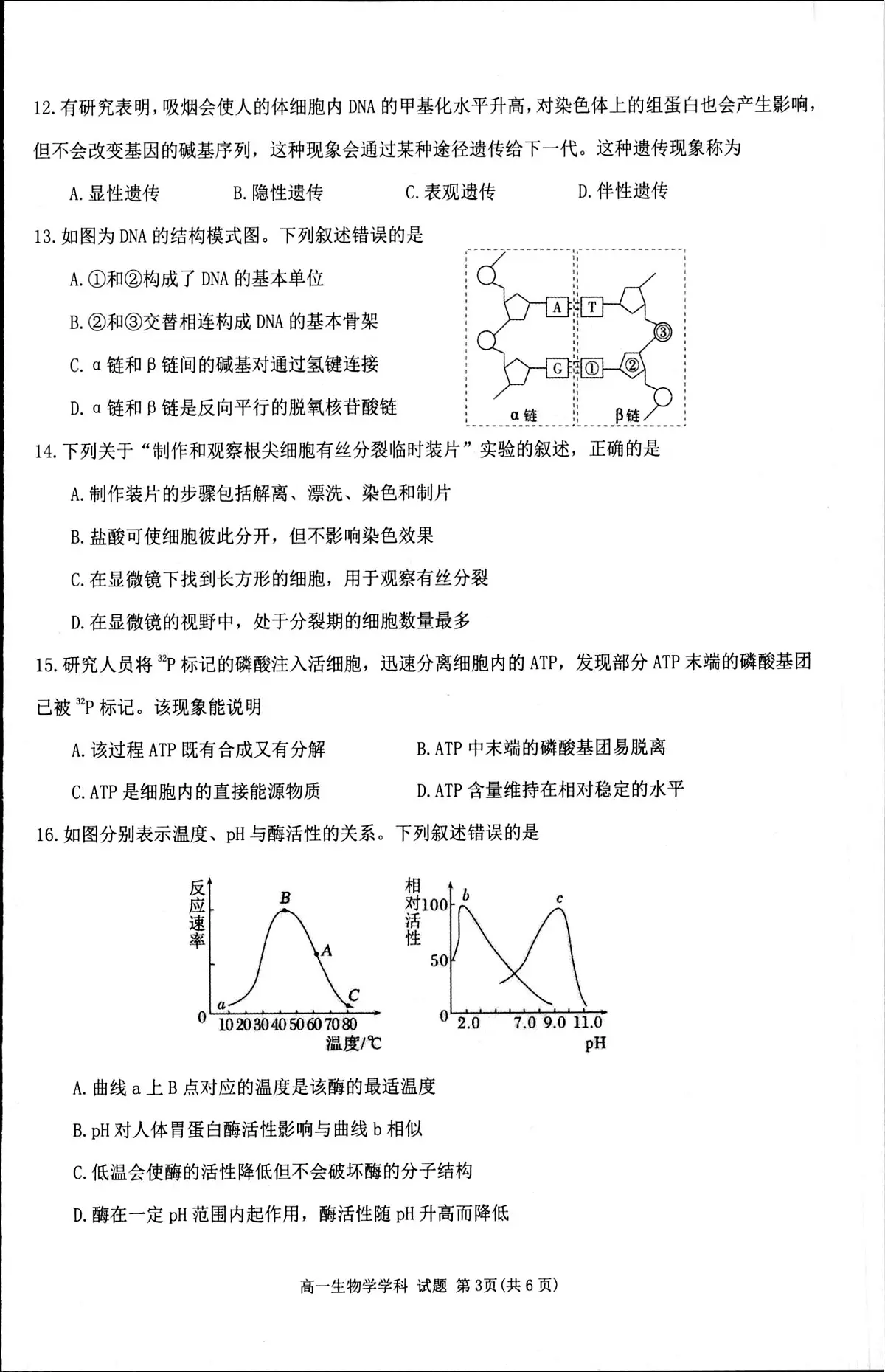 浙江省“桐、浦、富、兴”教研联盟2024-2025学年高一下学期6月学考模拟考试生物试题（PDF版，含答案）第3页