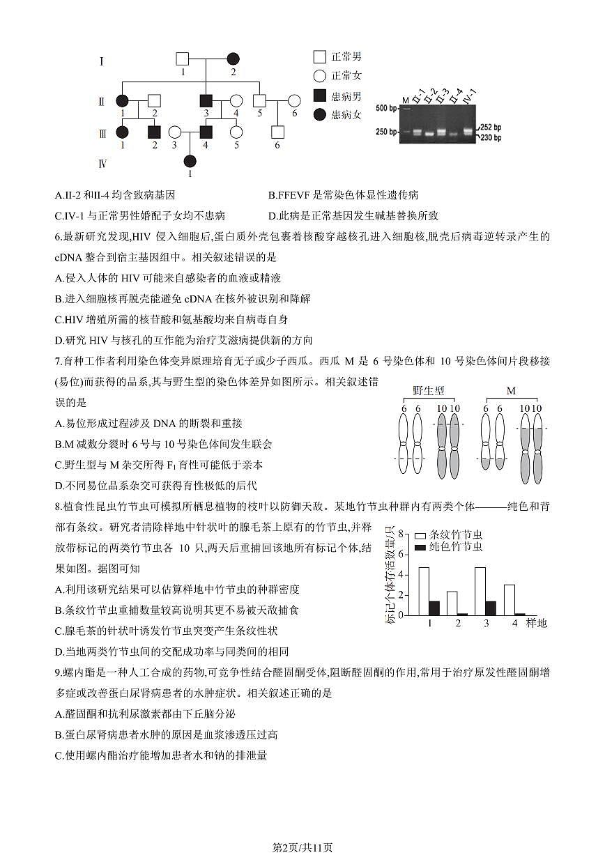 北京市朝阳区2025年高三生物一模试卷（PDF版，含答案）第2页