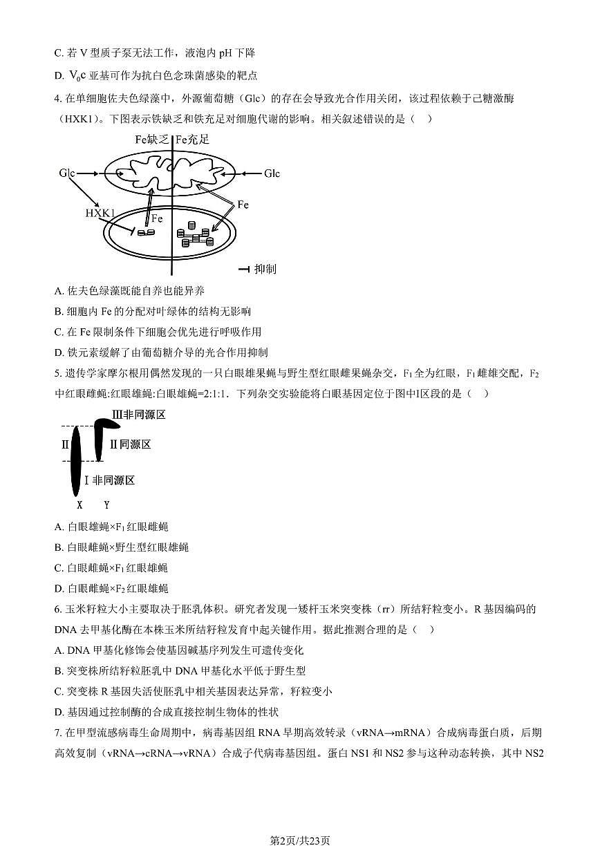 北京市丰台区2025年高三生物一模试卷（PDF版，含答案）第2页