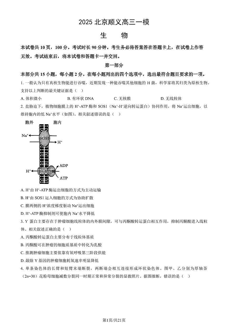 北京市顺义区2025年高三生物一模试卷（PDF版，含答案）第1页
