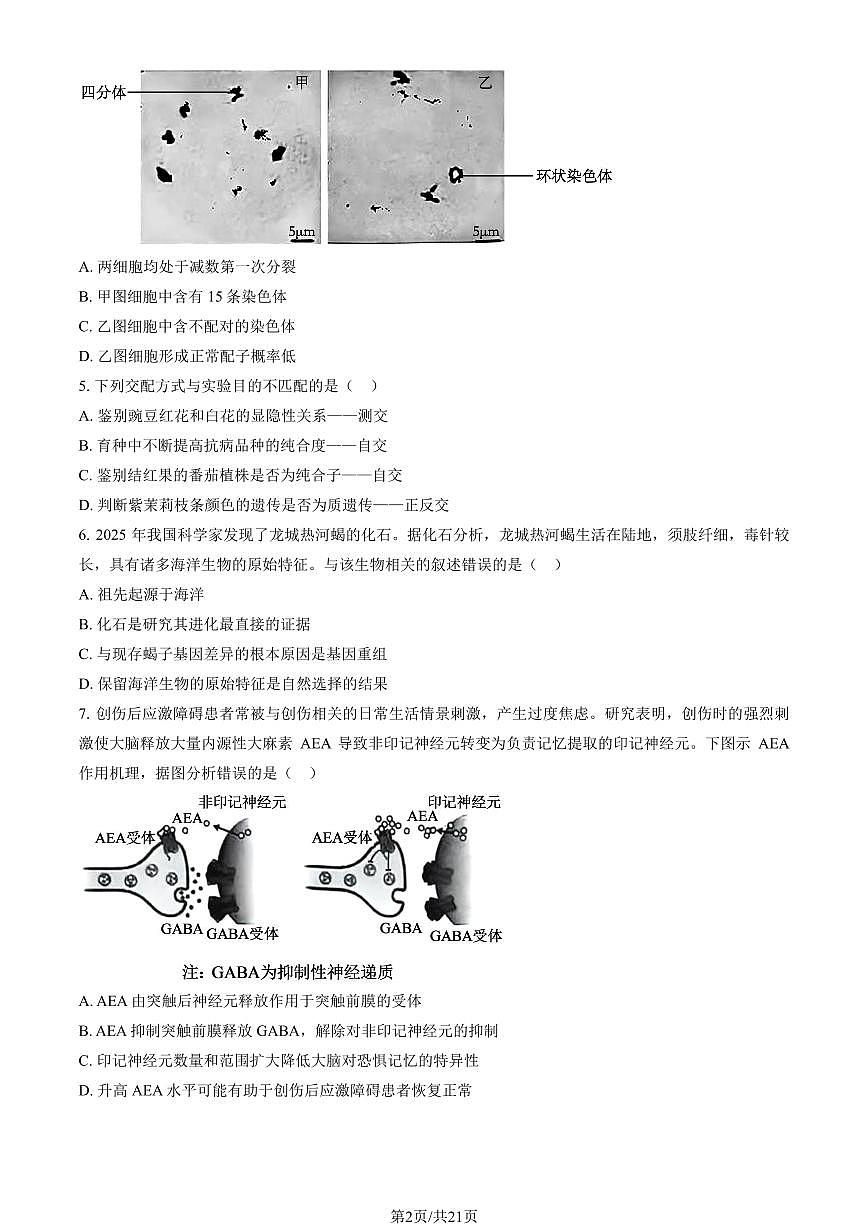 北京市顺义区2025年高三生物一模试卷（PDF版，含答案）第2页