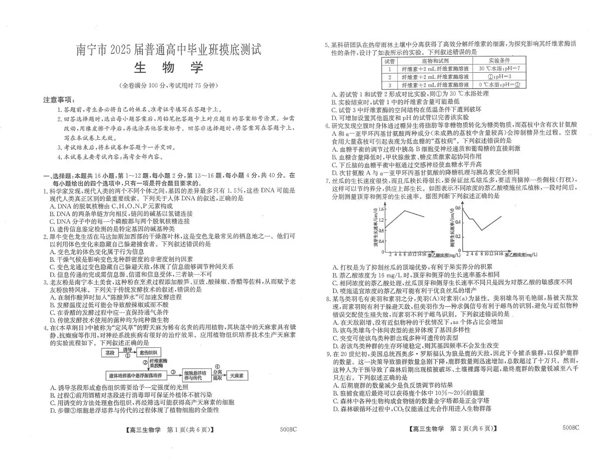 2025届广西南宁市普通高中毕业班摸底测试高三生物试卷含答案（高考模拟）第1页
