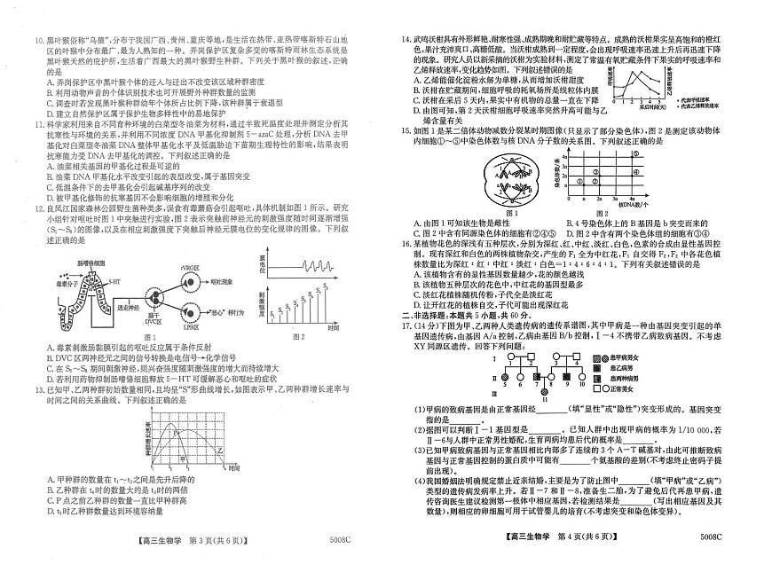 2025届广西南宁市普通高中毕业班摸底测试高三生物试卷含答案（高考模拟）第2页
