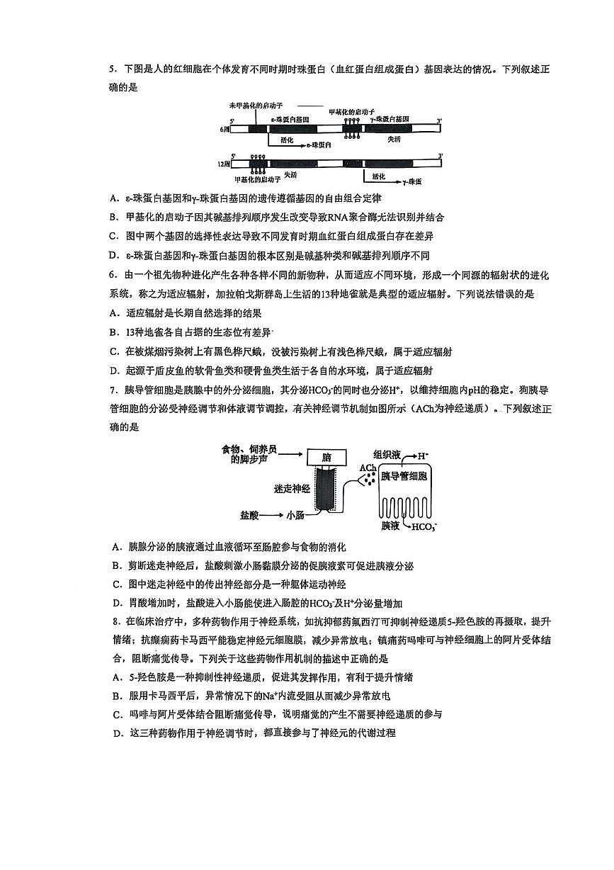 2025届湖南省长沙市雅礼中学高三下学期三模生物试题（高考模拟）第2页