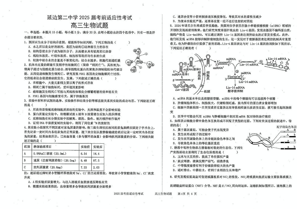 2025届吉林省延边朝鲜族自治州延吉市延边第二中学高三模拟预测生物试题（高考模拟）第1页