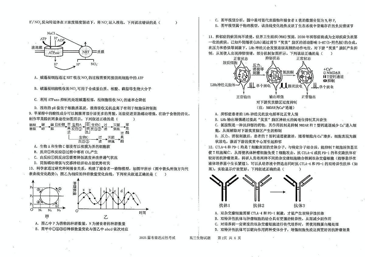 2025届吉林省延边朝鲜族自治州延吉市延边第二中学高三模拟预测生物试题（高考模拟）第2页