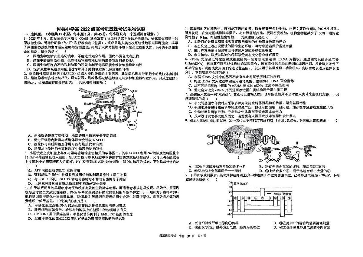 2025届四川省成都市树德中学高三适应性考试生物试题（高考模拟）第1页