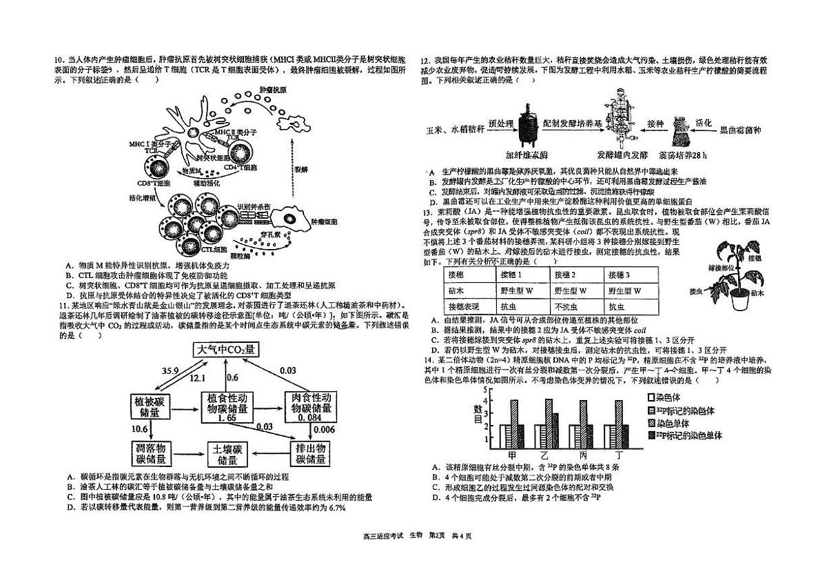 2025届四川省成都市树德中学高三适应性考试生物试题（高考模拟）第2页