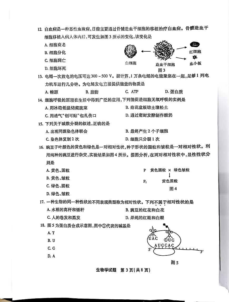 2025年1月福建省普通高中学业水平合格性考试生物试题（高考模拟）第3页