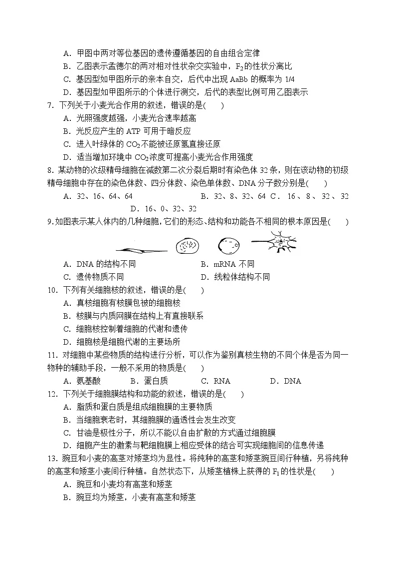 2025年广西壮族自治区普通高中学业水平合格性考试生物模拟二（高考模拟）第2页