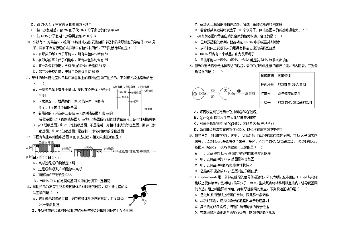 高一期末生物试卷1第2页