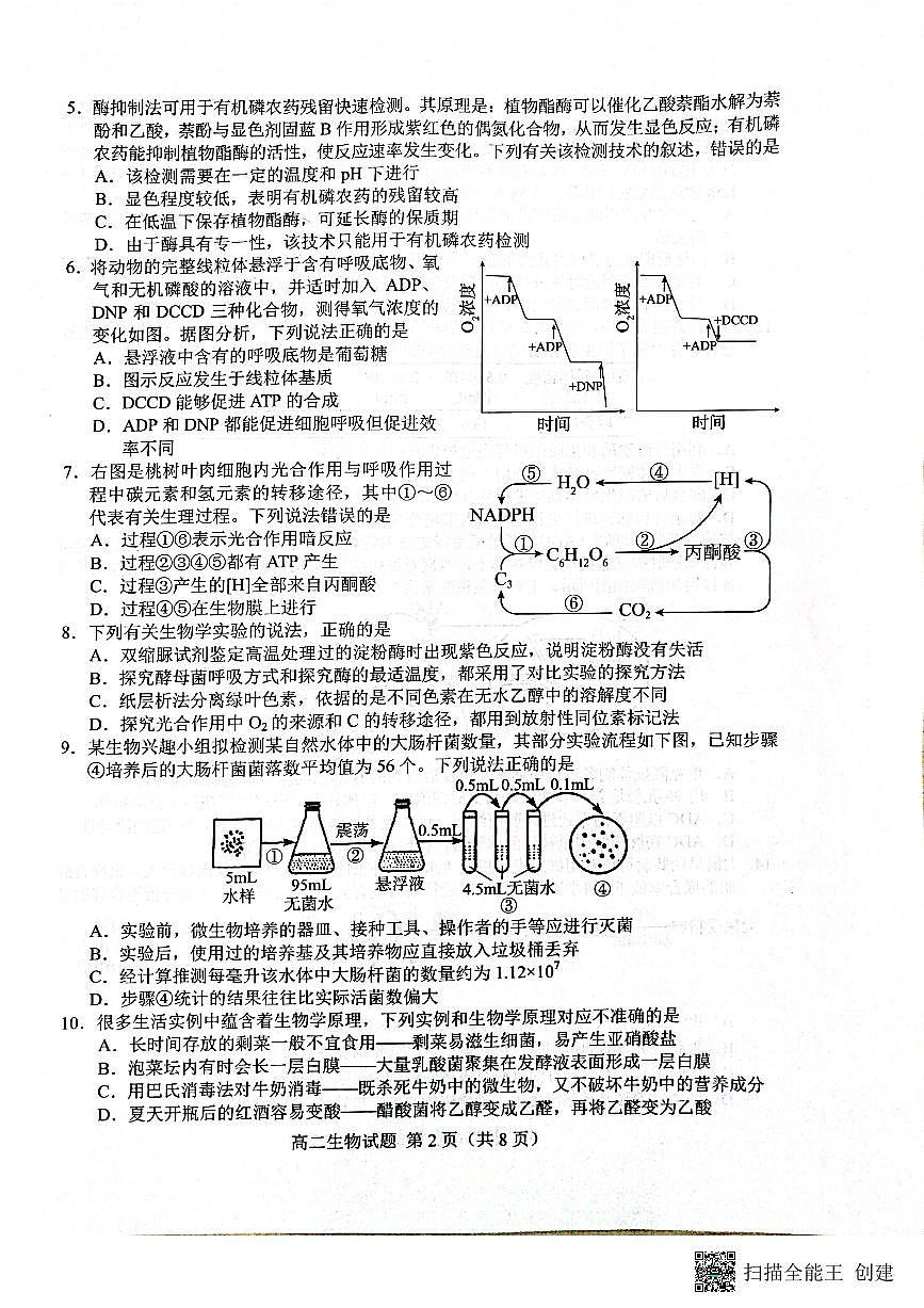 山东省菏泽市2023—2024学年高二下学期期末考试生物试题第2页