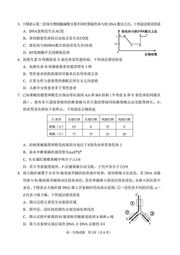高一生物试题定稿6.22第2页
