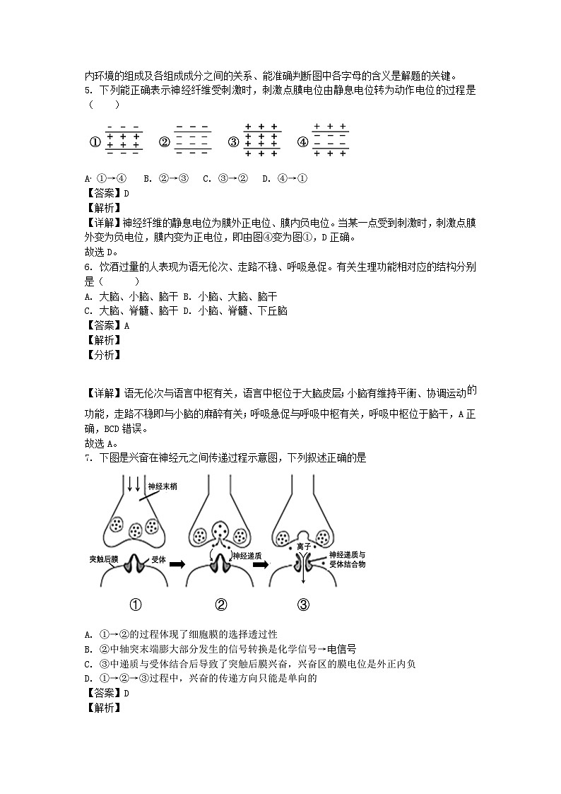 北京市2024_2025学年高二生物上学期9月月考试卷含解析第3页